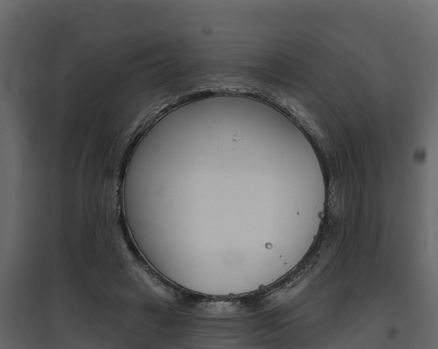 X0000097810449200803140802