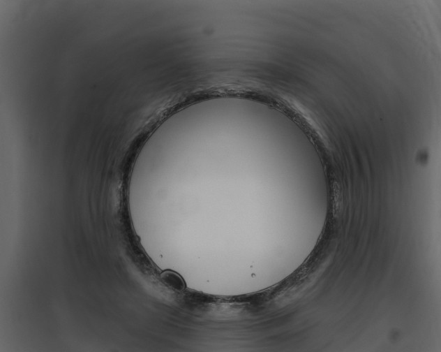 X0000097810451200803140802