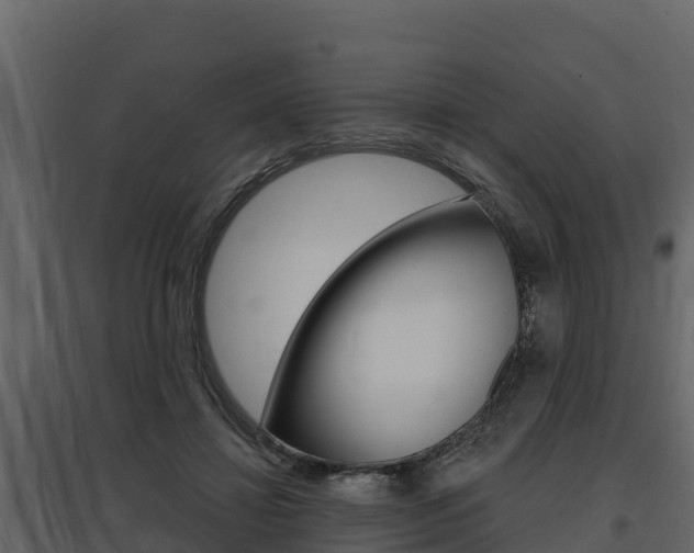 X0000097810452200803140802