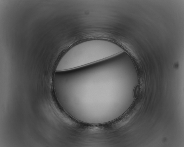 X0000097810453200803140802