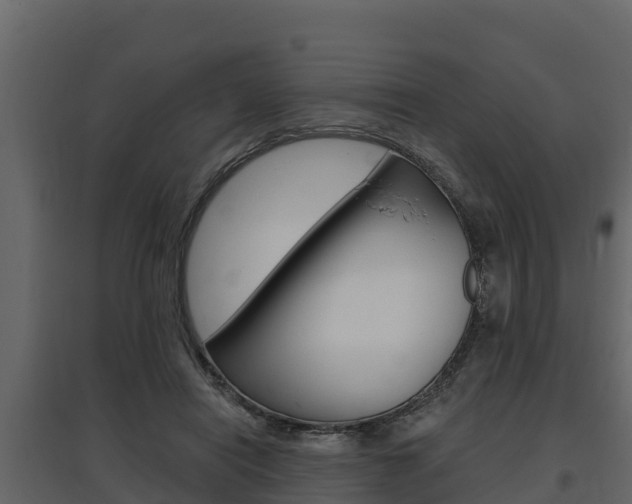 X0000097810454200803140802