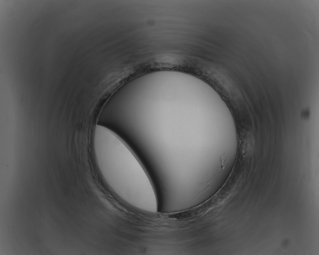 X0000097810455200803140802