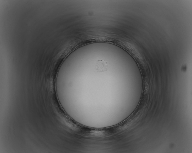 X0000097810457200803140802