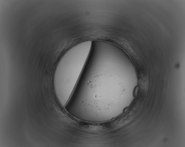 X0000097810458200803140802