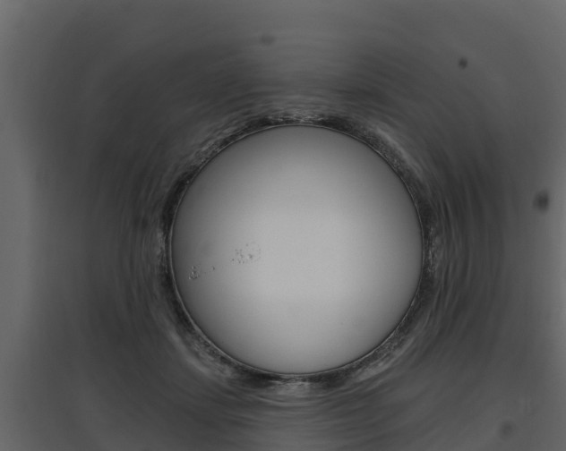 X0000097810459200803140802