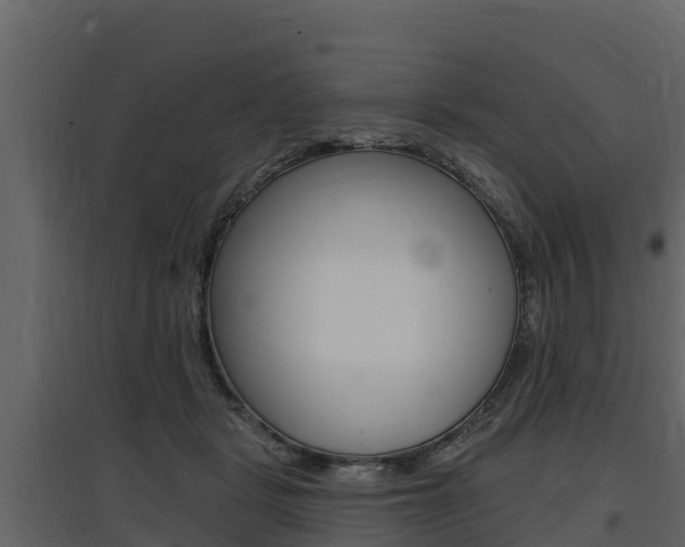 X0000097810461200803140802