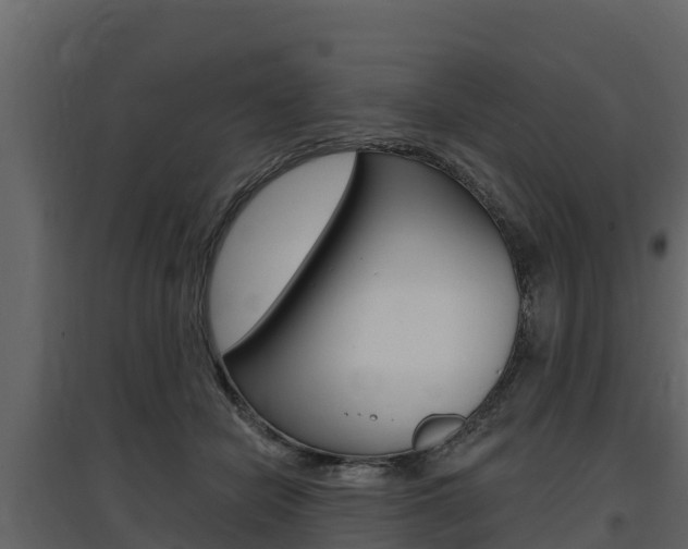 X0000097810462200803140802