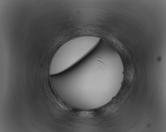 X0000097810465200803140803