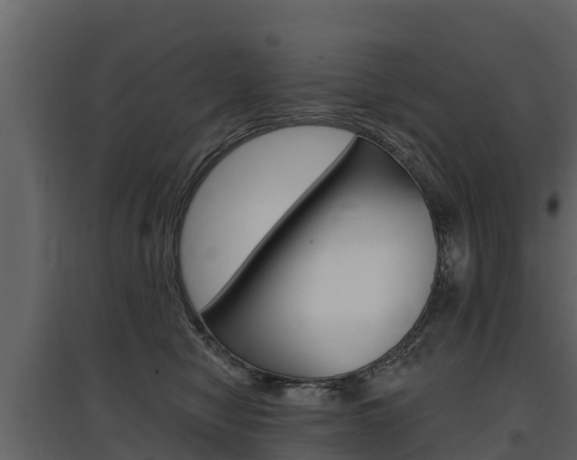 X0000097810470200803140803