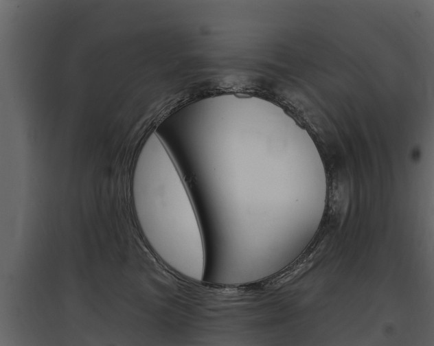 X0000097810473200803140803