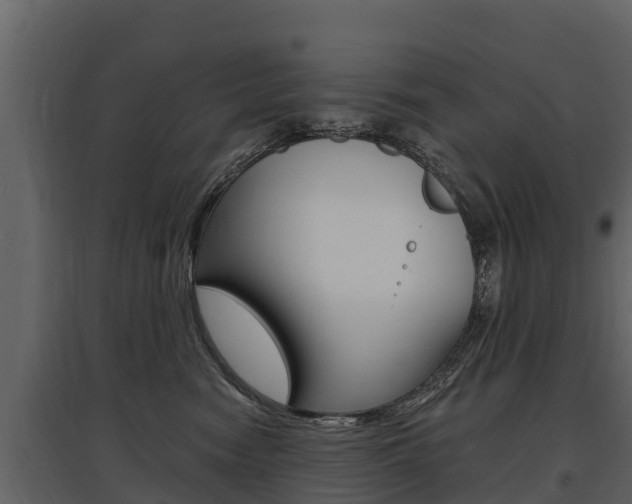 X0000097810474200803140803