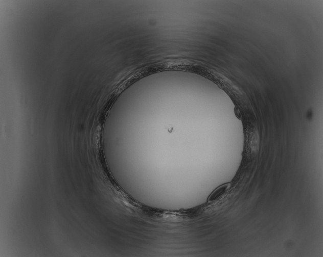 X0000097810475200803140803