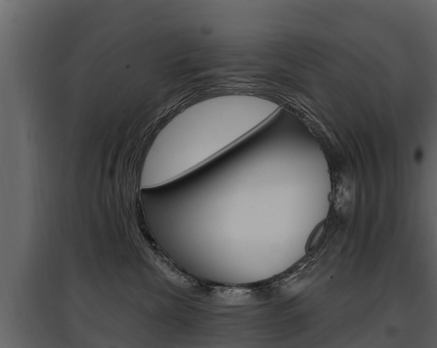 X0000097810476200803140803