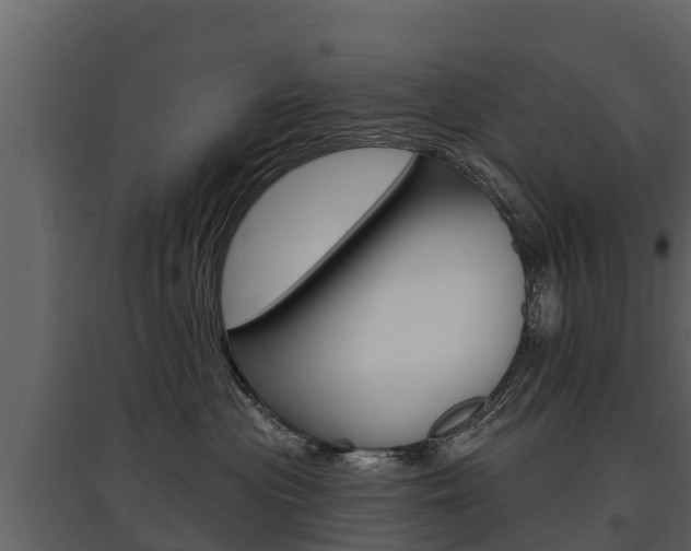 X0000097810477200803140803