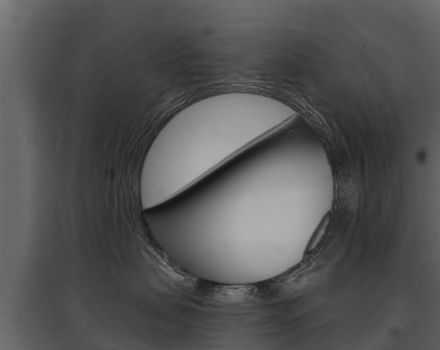 X0000097810479200803140803