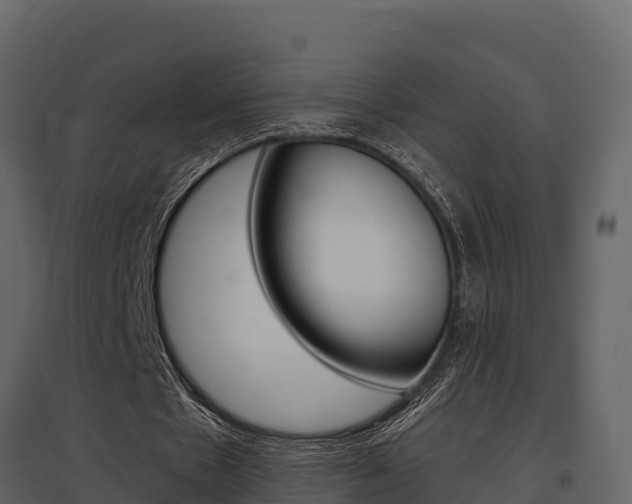 X0000097810481200803140802