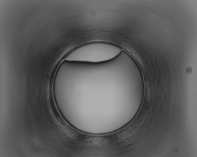 X0000097810482200803140802