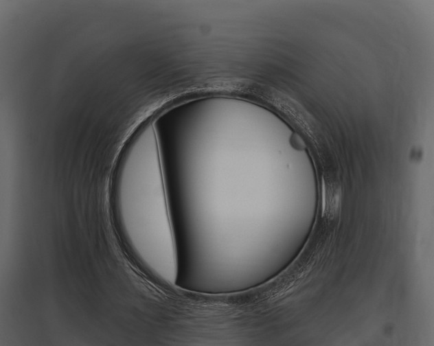 X0000097810483200803140802