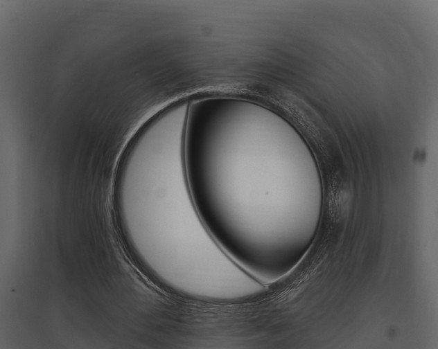 X0000097810484200803140802