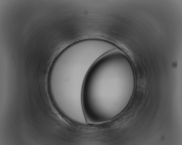 X0000097810485200803140802