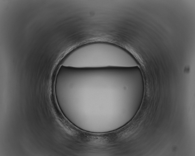 X0000097810486200803140802