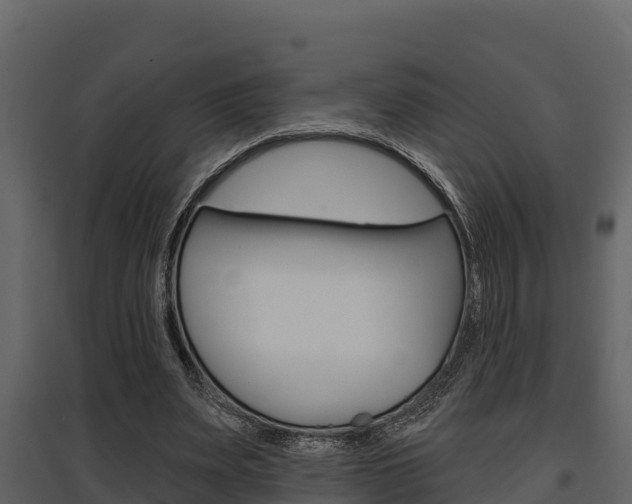 X0000097810487200803140802