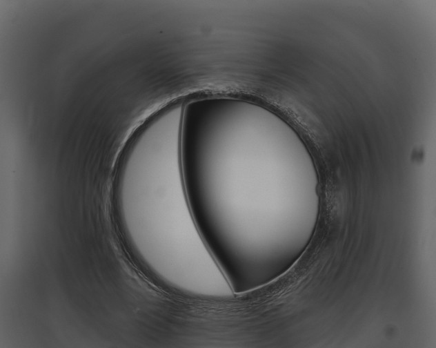 X0000097810488200803140802