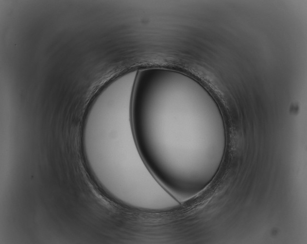 X0000097810489200803140802
