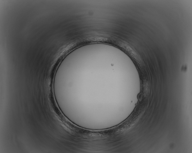 X0000097810490200803140802