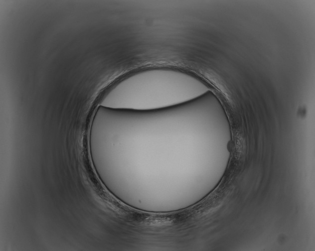 X0000097810491200803140802