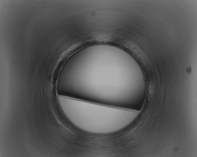 X0000097810492200803140802