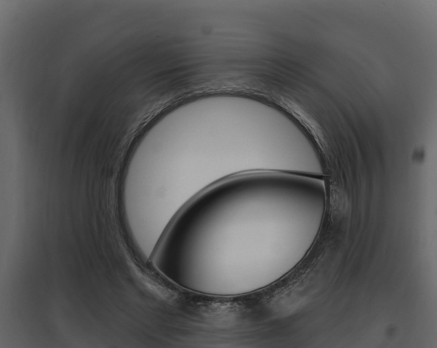 X0000097810493200803140802