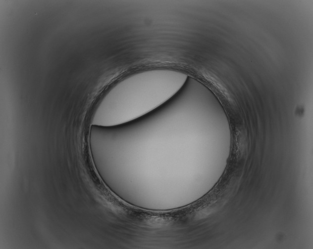 X0000097810494200803140802