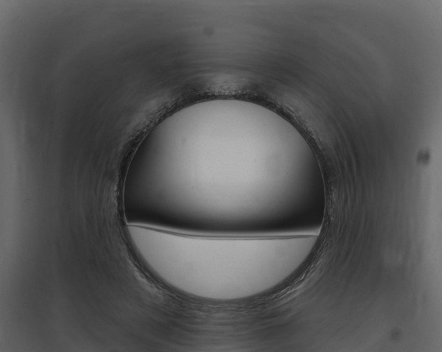 X0000097810497200803140802
