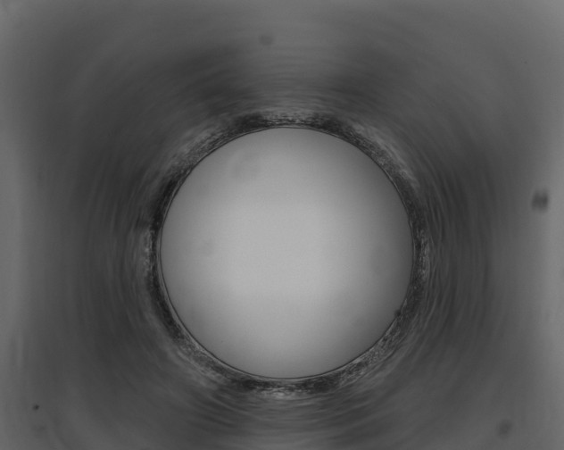 X0000097810498200803140802