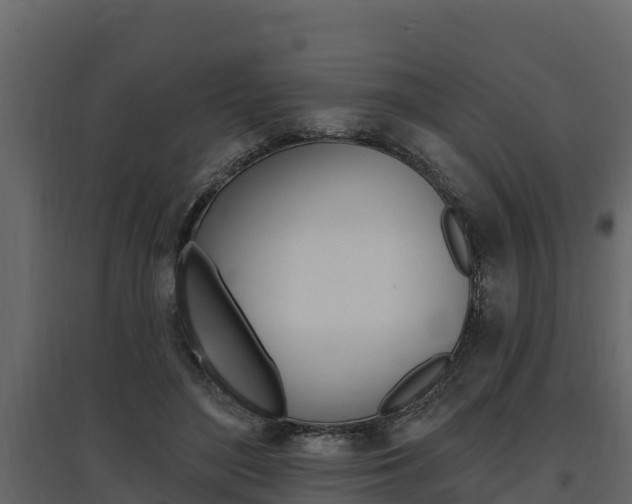 X0000097810500200803140802