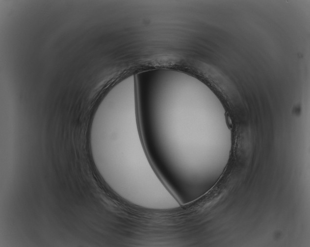 X0000097810501200803140802