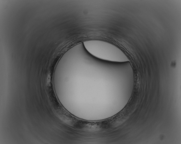 X0000097810502200803140802