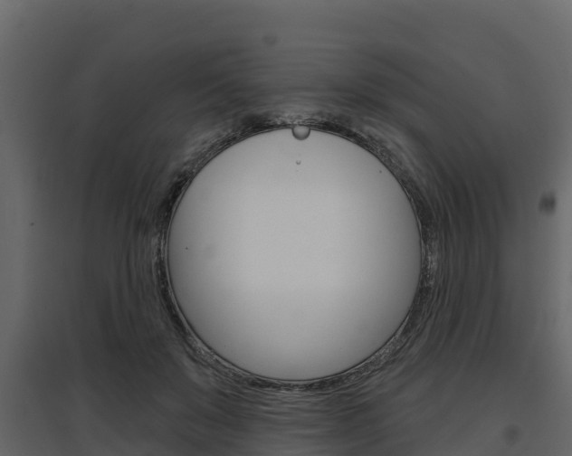 X0000097810503200803140802