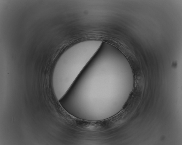X0000097810504200803140802