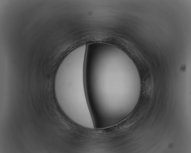 X0000097810505200803140802