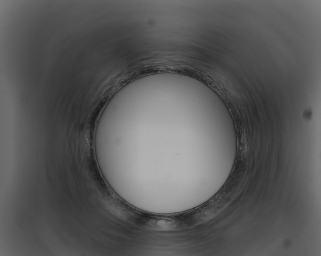 X0000097810506200803140802