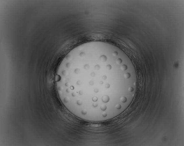 X0000097810507200803140802