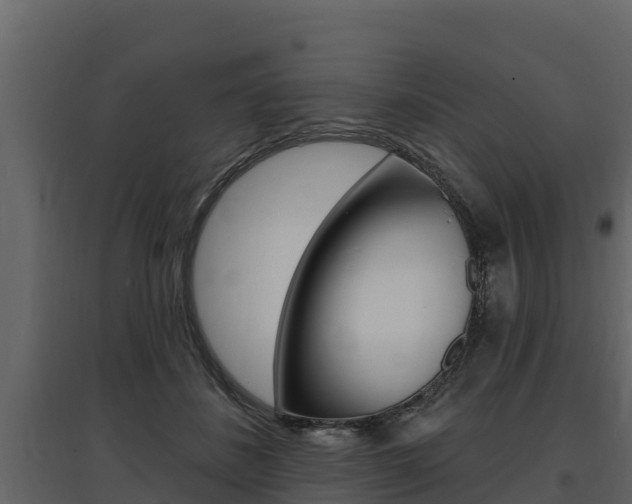 X0000097810508200803140802