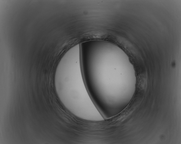 X0000097810509200803140802