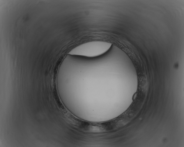 X0000097810510200803140802