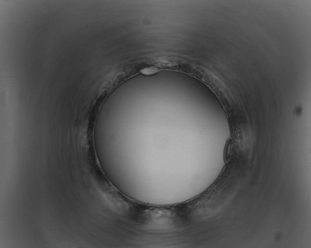 X0000097810512200803140802