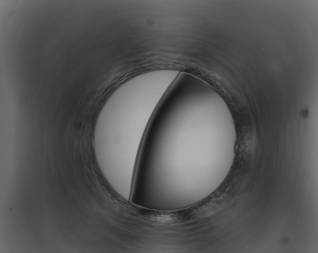 X0000097810513200803140802