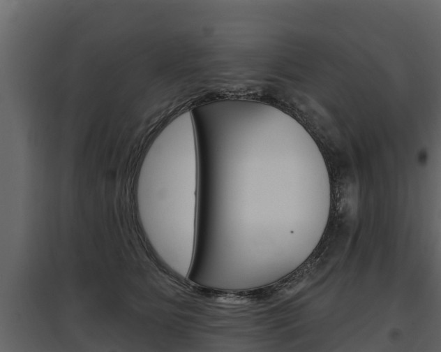 X0000097810515200803140802