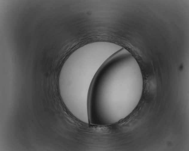 X0000097810517200803140802